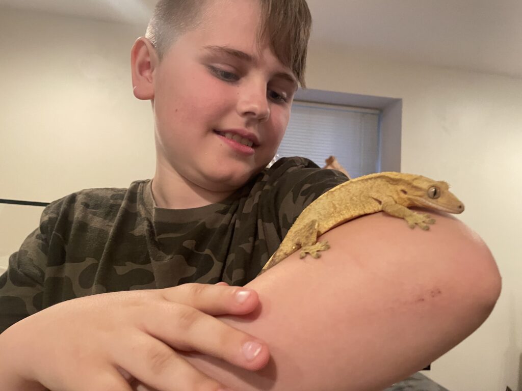A Snake and Gecko – oh my!