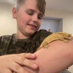 A Snake and Gecko – oh my!